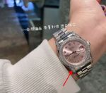 Rolex Stainless Steel Log  Classical Lady 31MM Pink Watch